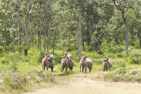 Yok Don National Park