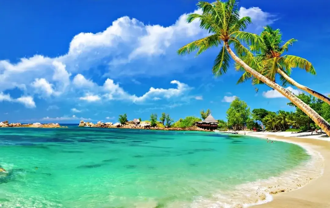 Cham Islands: A Quieter Alternative Near Hoi An