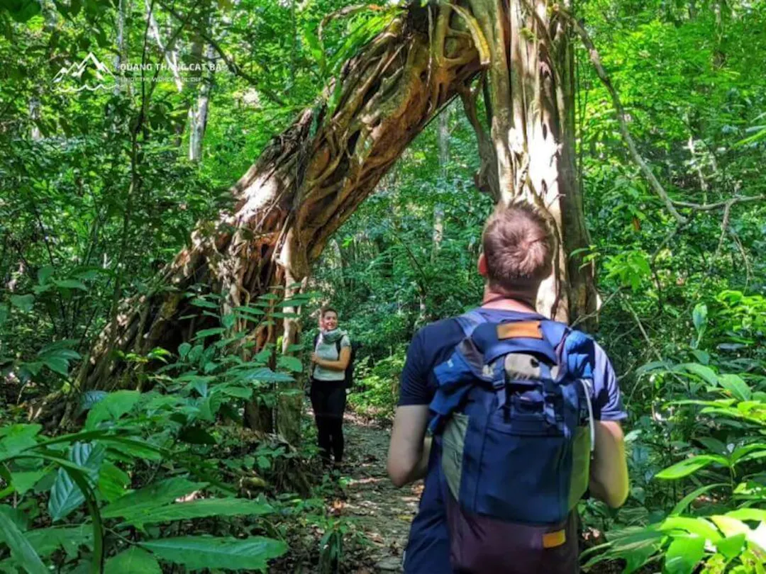 Cat Ba Hiking
