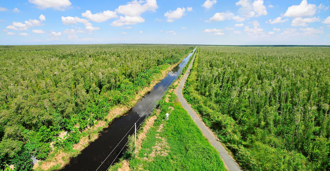 U Minh Ha Forest – Highlighting the Best Places to Visit in Ca Mau