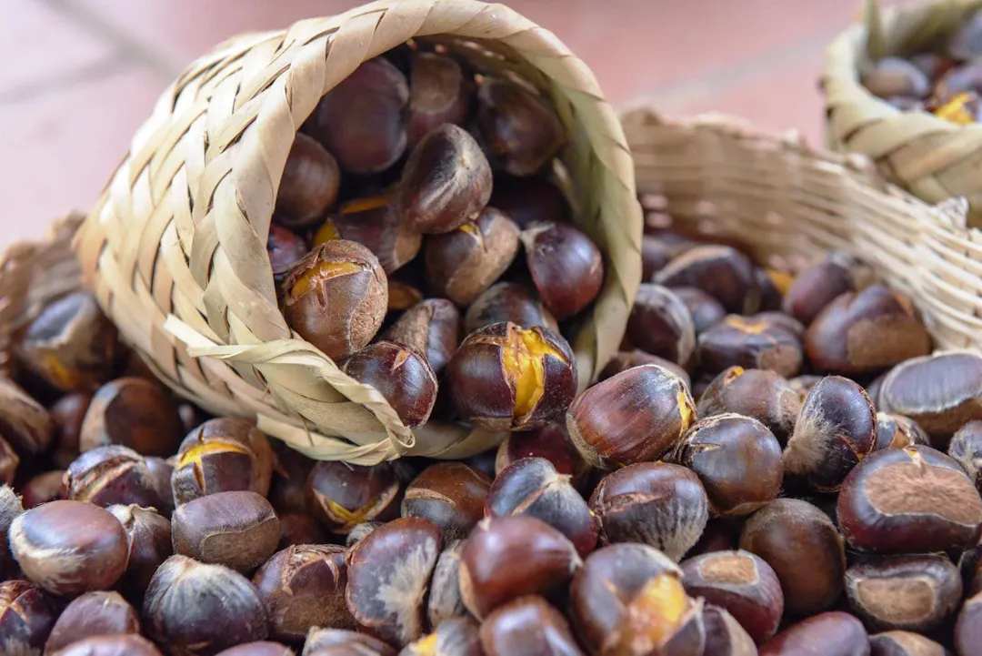 Trung Khanh Chestnuts: The Pride of the Border
