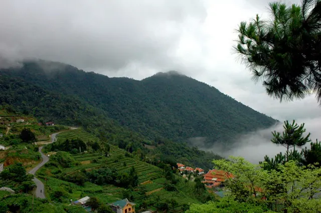 Tam Dao National Park in Frames – Misty Mountains, Forests & Natural Wonders