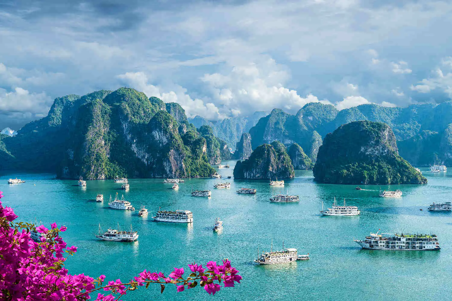Things to Know Before Traveling to Vietnam