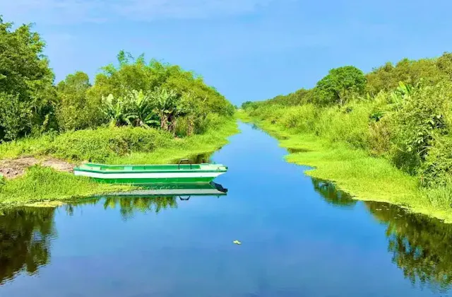 U Minh Ha National Park Photo Gallery