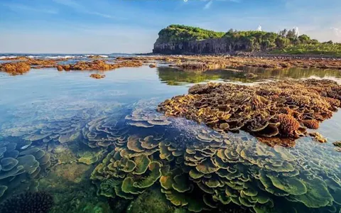 Quang Ngai Travel Guide
