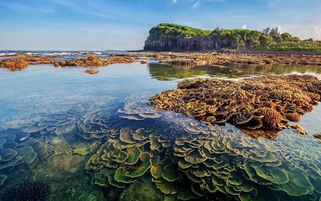 Gallery of Quảng Ngãi – Coastal Beauty and Timeless Heritage