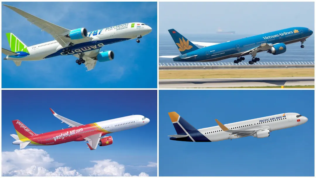 Navigating the Skies – Domestic Aviation Essentials