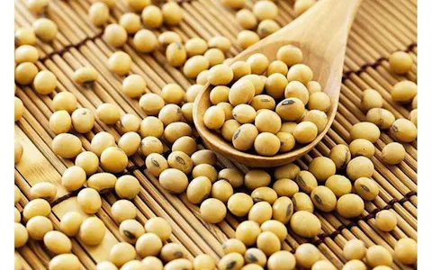 Soybeans