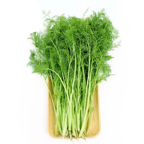 Fresh Dill & Spring Onions