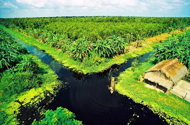 U Minh Thuong National Park in Frames – Peat Swamp Forest, Wetlands & Wildlife