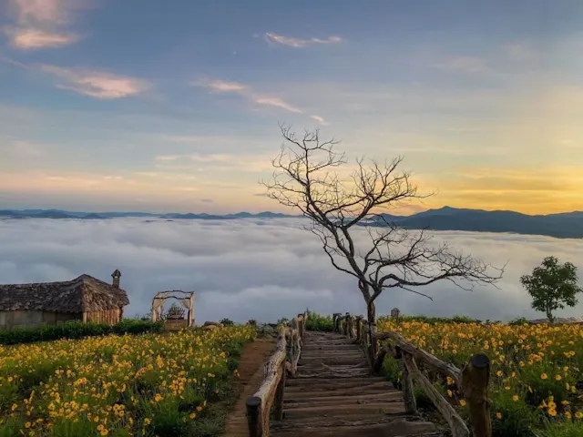 Da Lat Photo Gallery