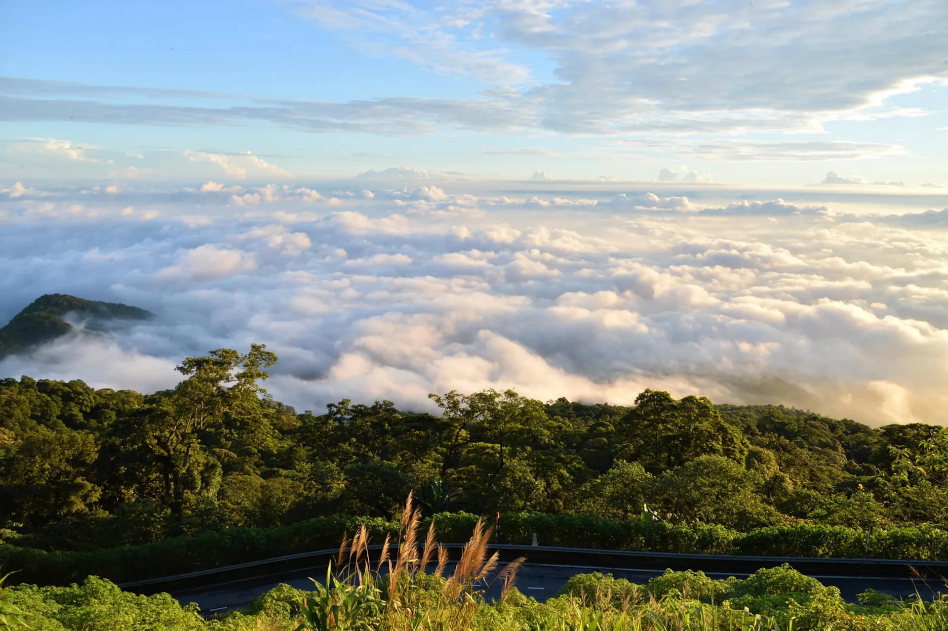 Ba Vi National Park