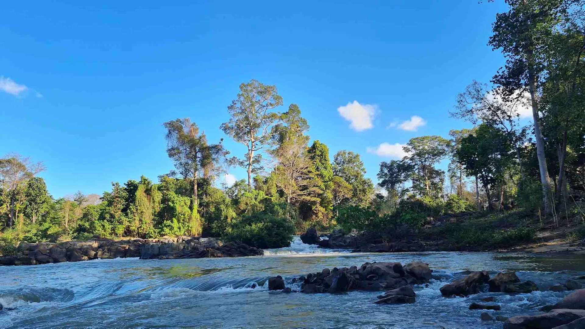 Yok Don National Park