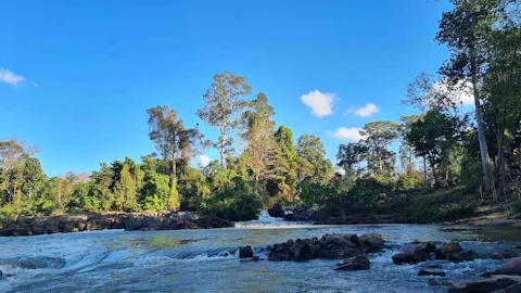 Yok Don National Park