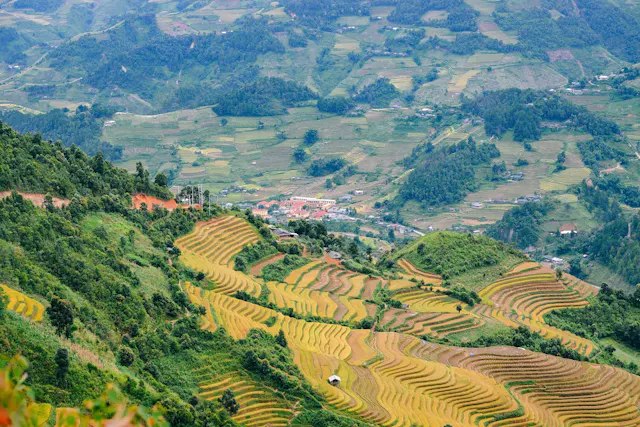 About Seasonal Guides for Vietnam