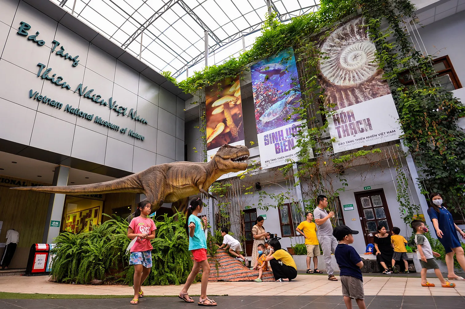 Vietnam National Museum of Nature
