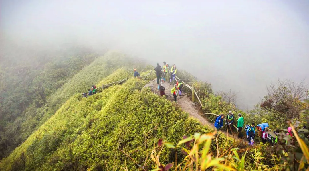 Fansipan Trekking