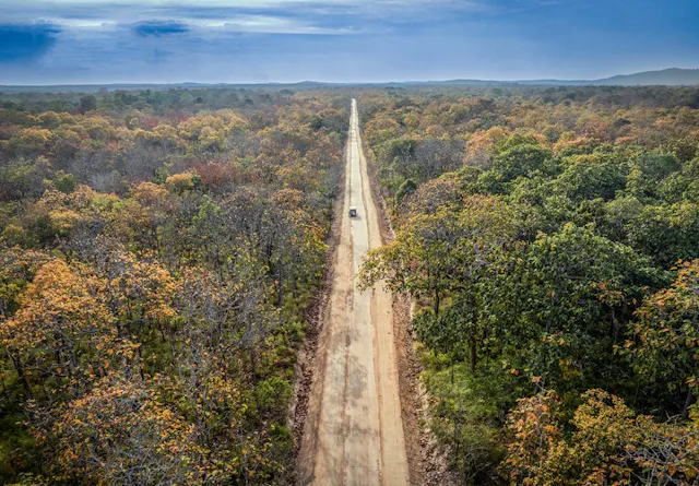 Yok Don National Park – Vietnam’s Wild Dry Forest & Elephant Sanctuary
