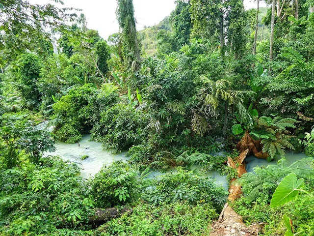 Yok Don National Park in Frames – Wild Forests, Safari Nature & Central Highlands Life