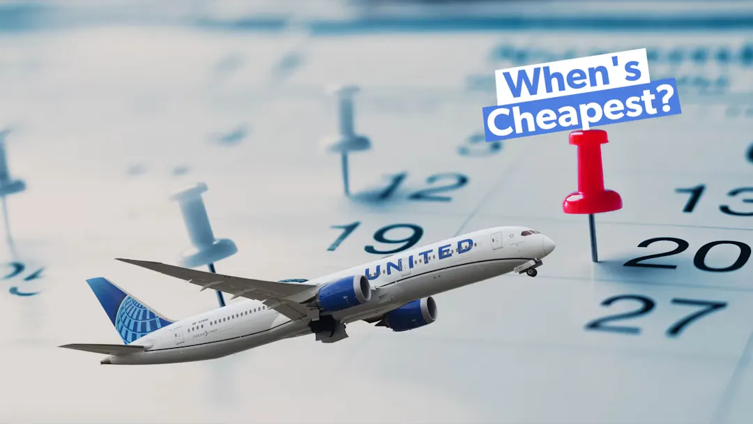 Domestic Flights — Fast, Efficient & Surprisingly Affordable