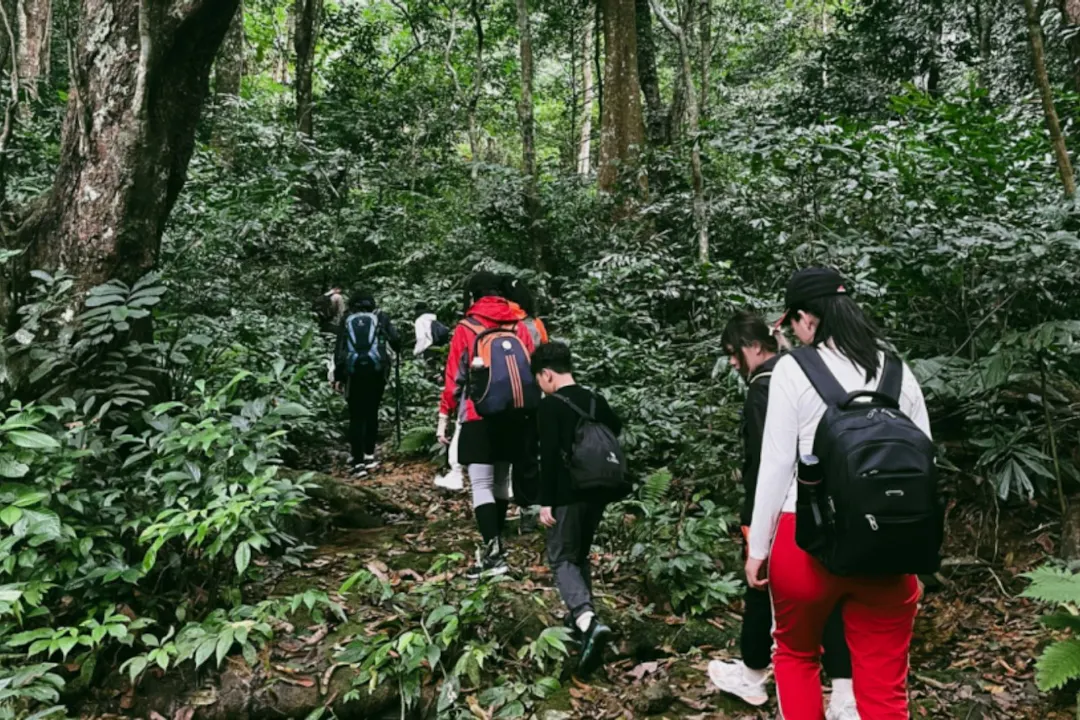 Ancient Botany and Wildlife – Cúc Phương National Park