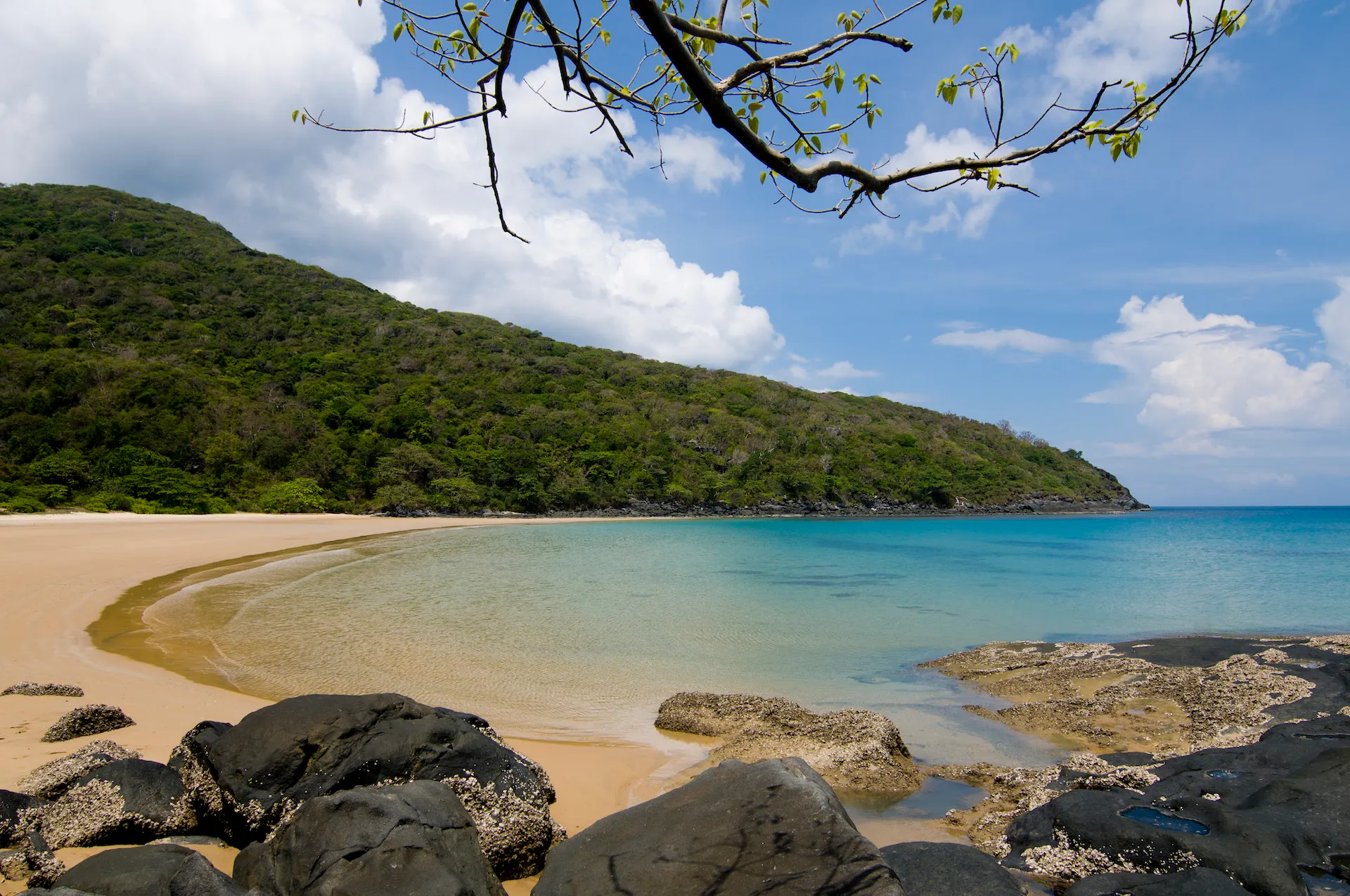 Hidden Beaches in Vietnam: Quiet Coastal Escapes