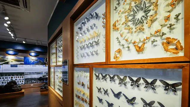 Vietnam National Museum of Nature in Pictures – Fossils, Wildlife & Natural Wonders