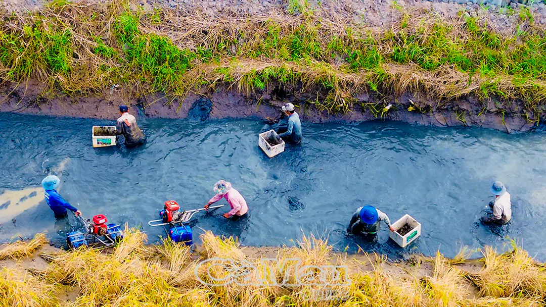 Seafood Harvest Seasons
