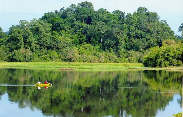 Cat Tien National Park in Frames – Rainforest Wildlife, Rivers & Jungle Adventure