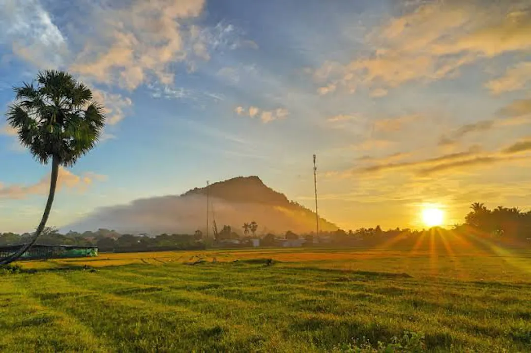 Catch the Sunrise Over the Ta Pa Paddy Fields