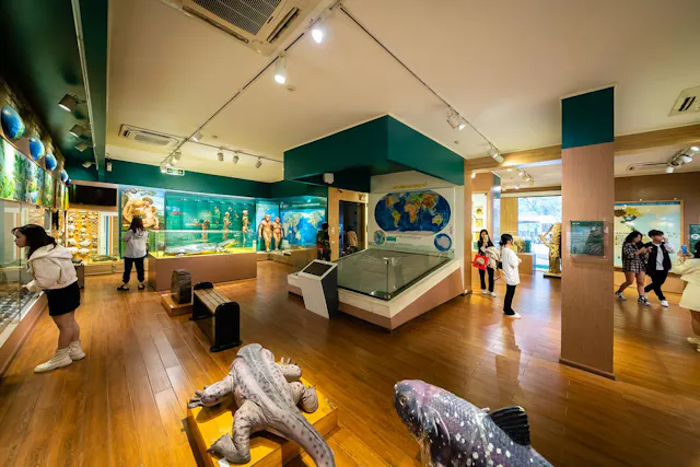 Vietnam National Museum of Nature in Pictures – Fossils, Wildlife & Natural Wonders