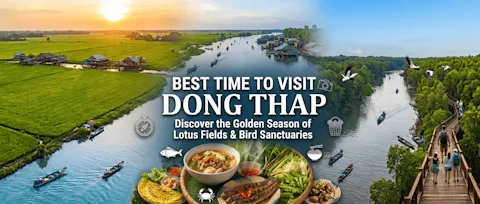 Best Time to Visit Dong Thap