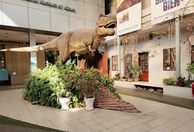 Vietnam National Museum of Nature – Discover the Wonders of Vietnam’s Biodiversity
