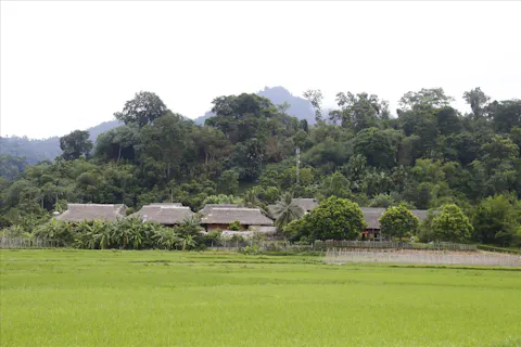 Tan Trao Historical Relic Area
