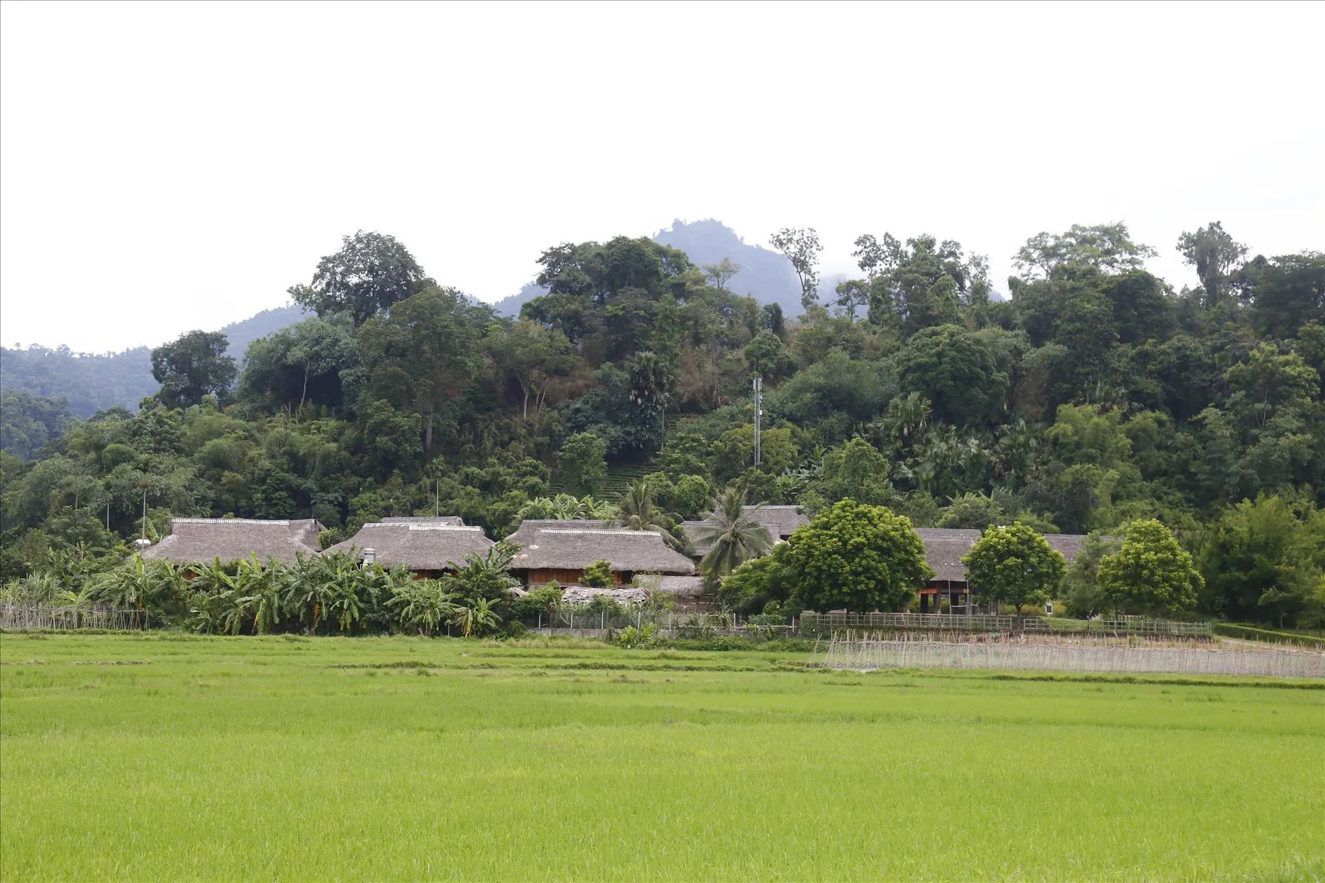 Tan Trao Historical Relic Area