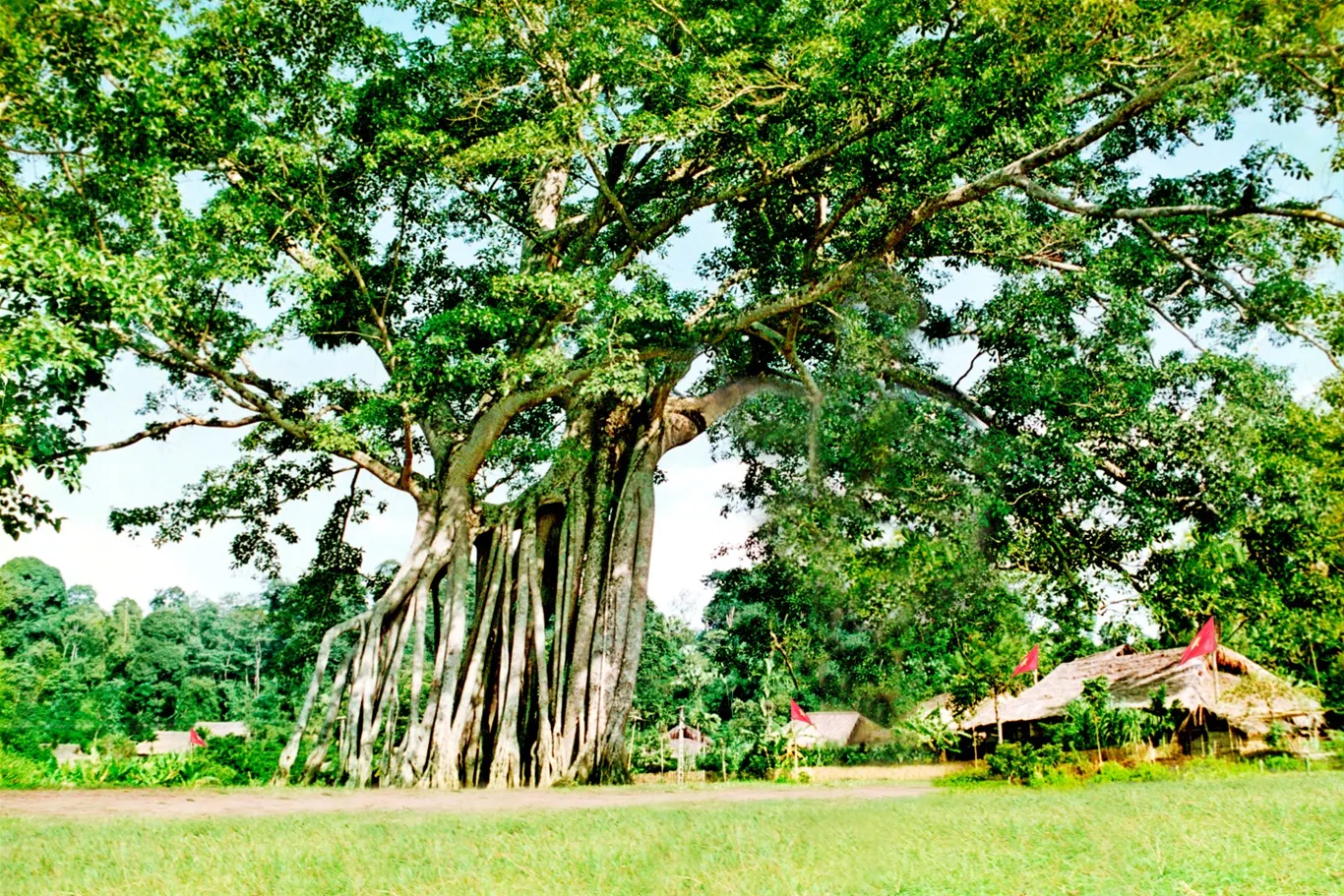 Tan Trao Historical Relic Area Photo Gallery