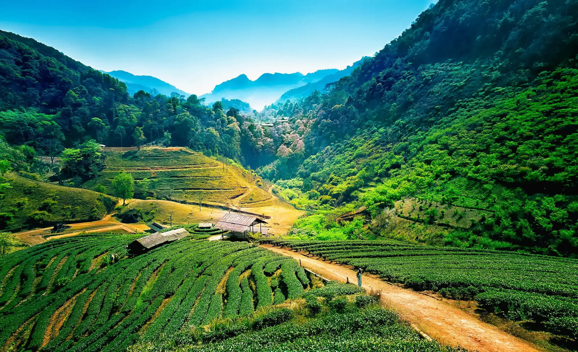 Things to Do in Vietnam