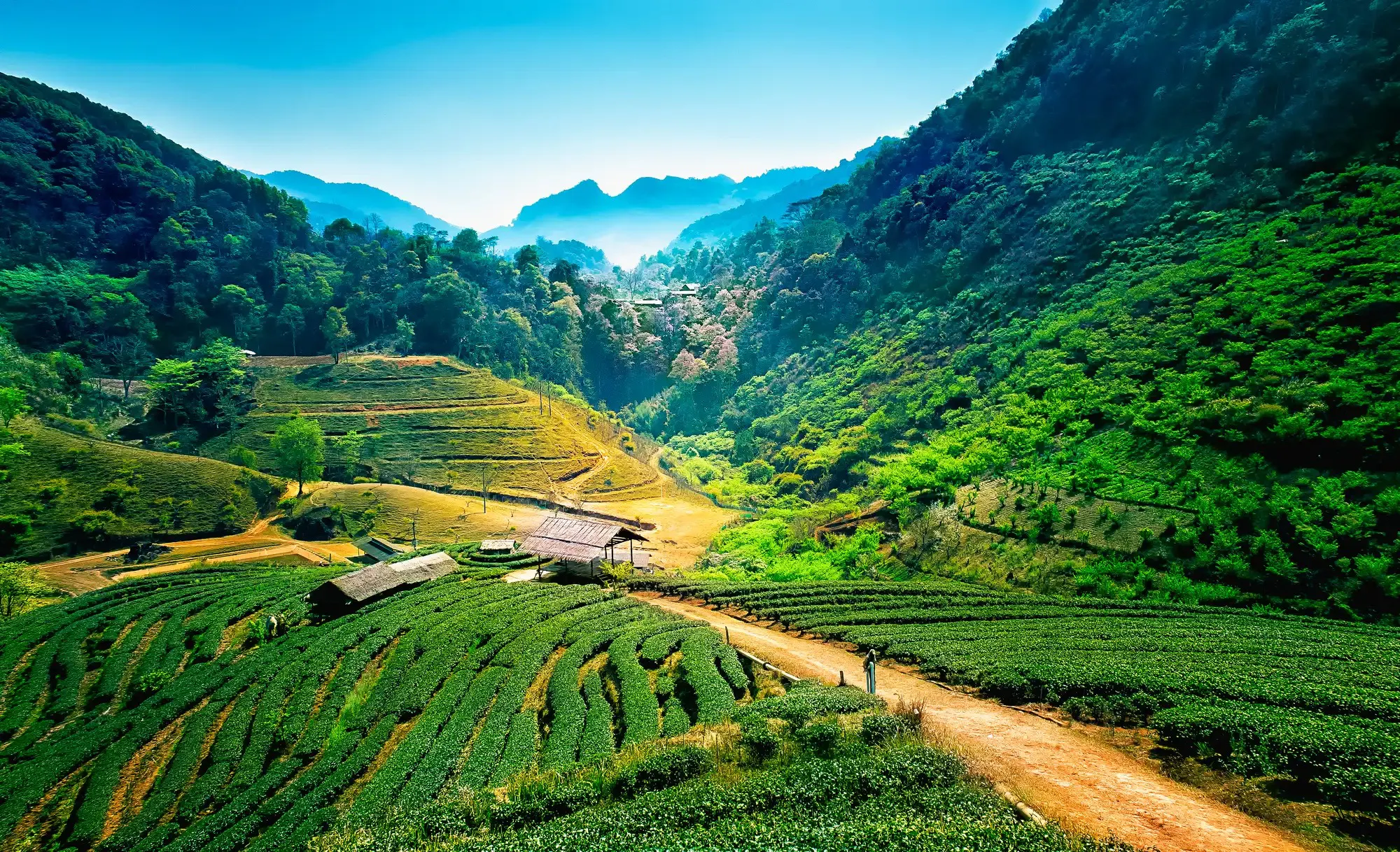 Outdoor Adventures in Vietnam