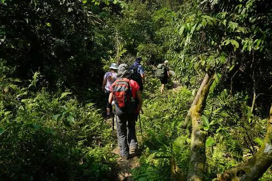 Trekking & Hiking in Vietnam Photo Gallery