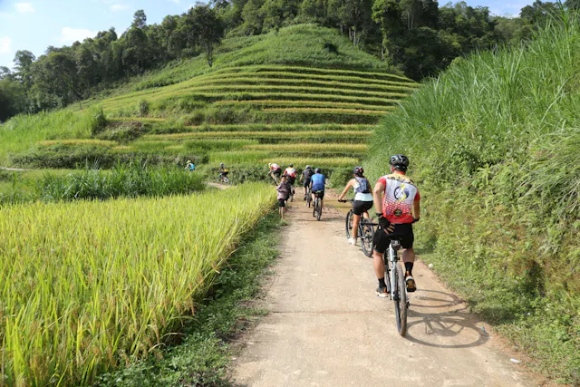 About Cycling in Vietnam
