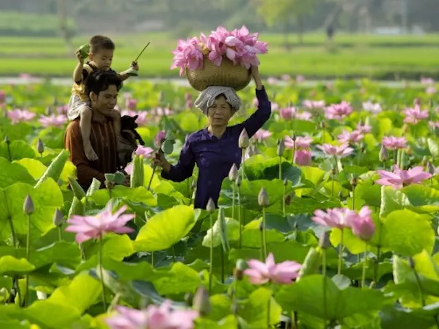 About Dong Thap Vietnam