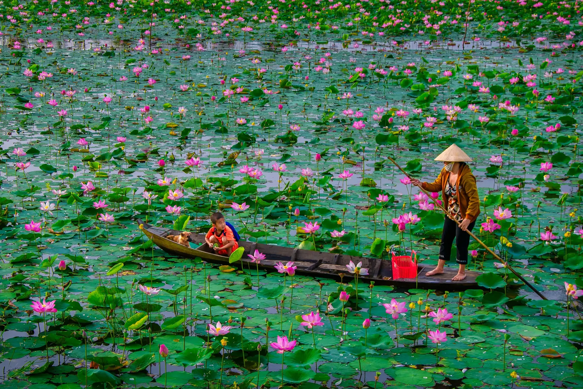 Dong Thap Travel Guide