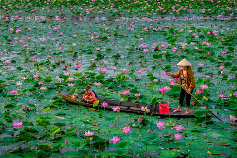 Dong Thap Travel Guide