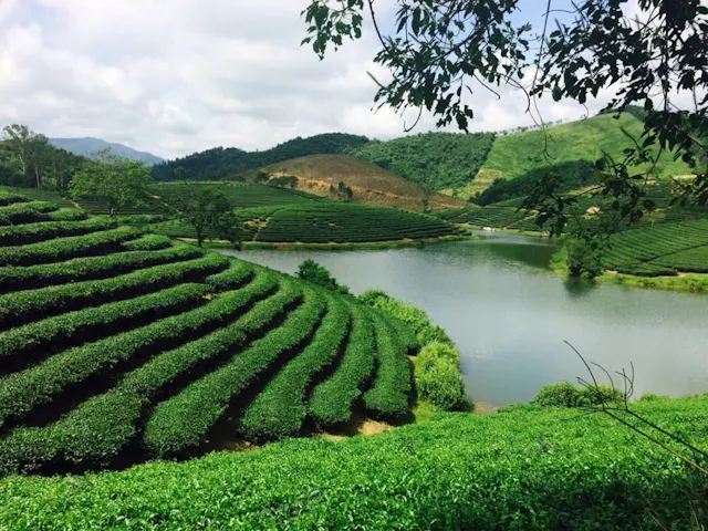 Nghe An in Frames – Nature, Heritage & Everyday Life