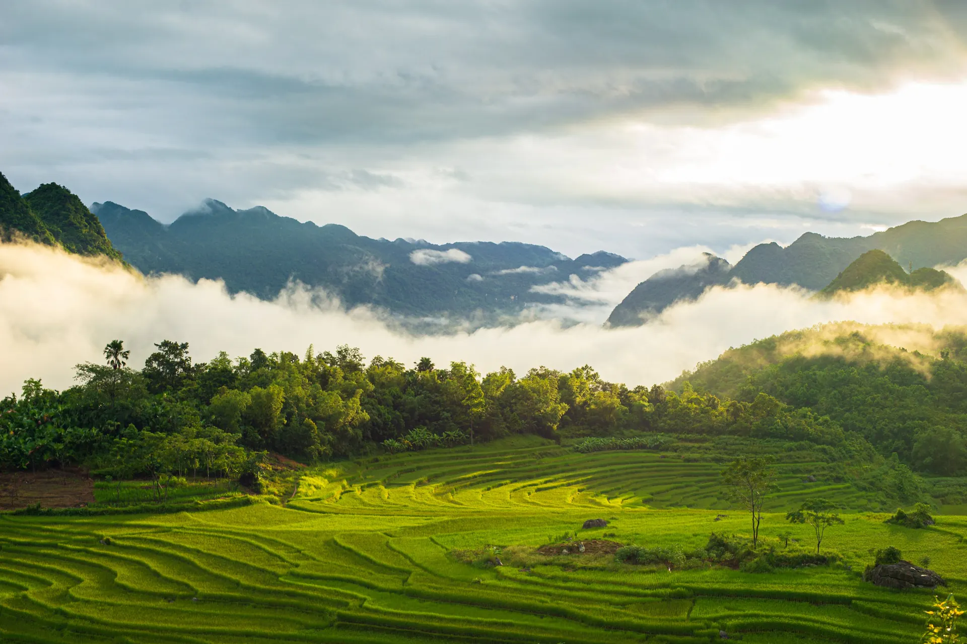 Thanh Hoa Travel Guide