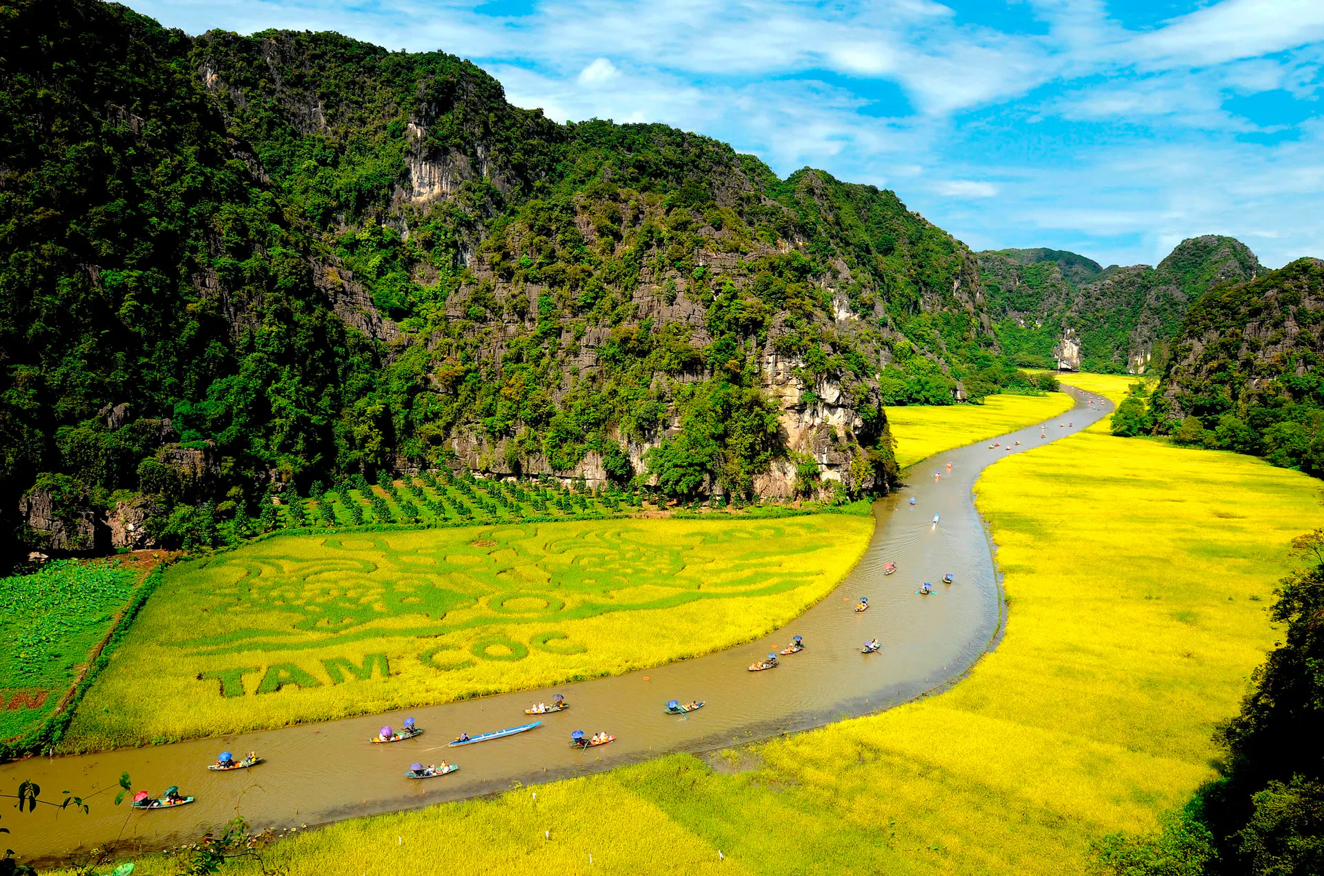 Ninh Binh Travel Guide