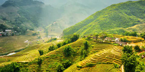 Lao Cai Travel Guide