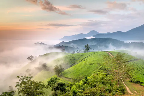 Phu Tho Travel Guide