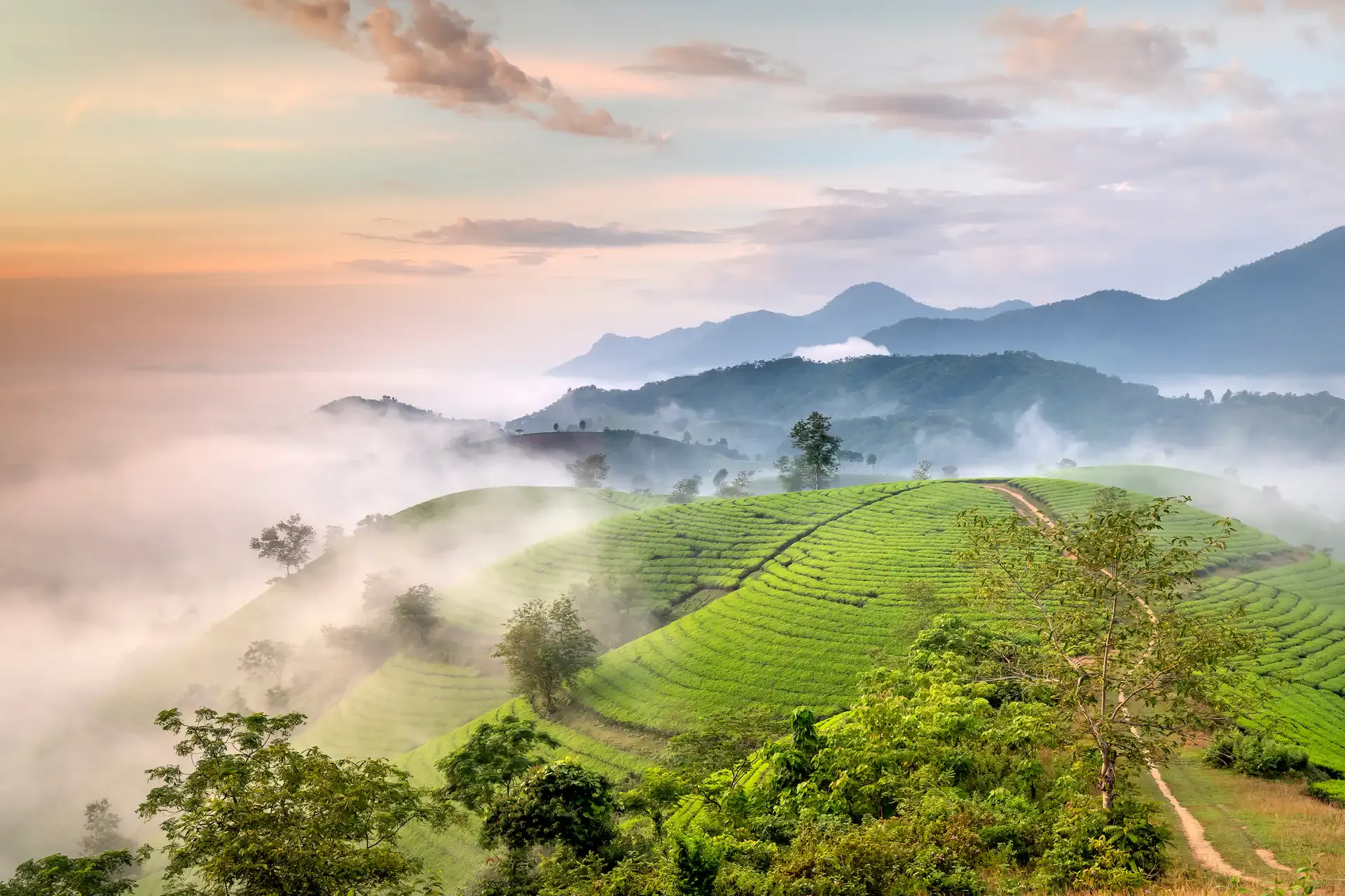 Phu Tho Travel Guide
