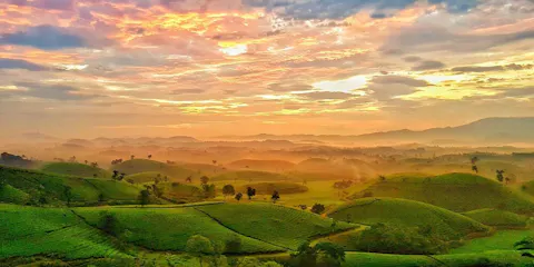 Phu Tho Travel Guide